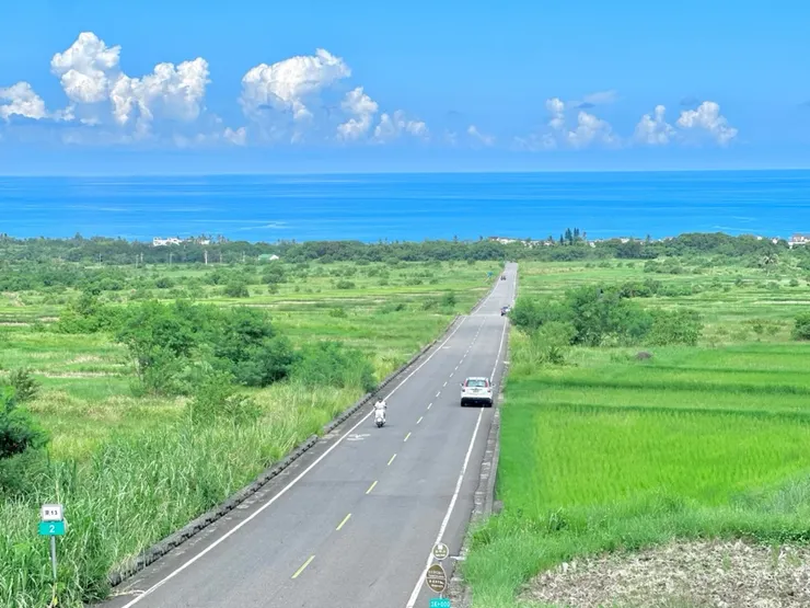 樹屋版本的金剛大道