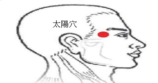 太陽穴