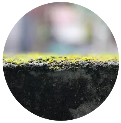 一粒｜影像紀錄Ｘ生活故事Ｘ旅遊雜記