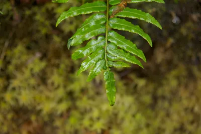 詩意生活，生活詩意