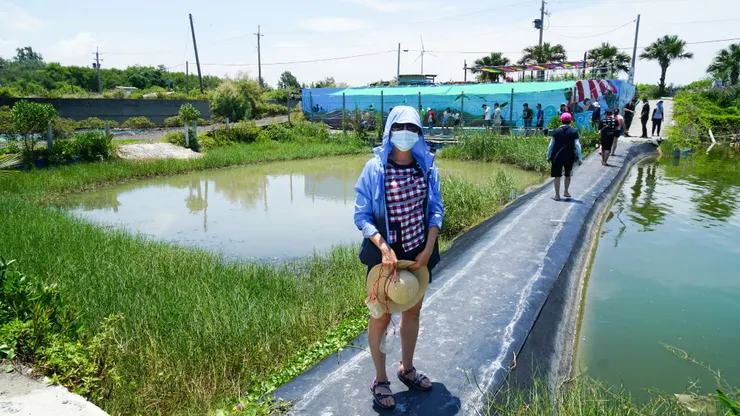 濁濁的水池就是摸蛤區(上一團遊客剛上岸)