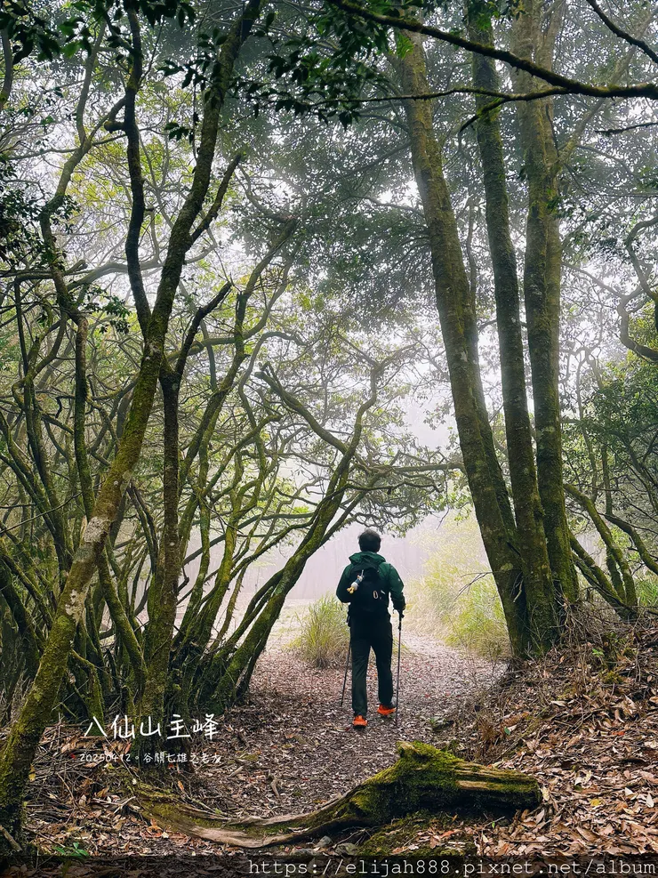 【谷關健行/住宿】谷關七雄老大。海拔2366公尺八仙山主峰。
