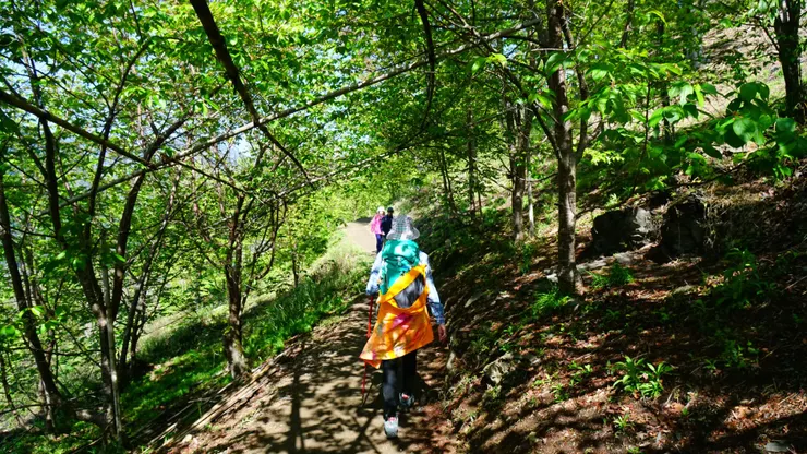 健步如飛~咻~一下子就到櫻花林