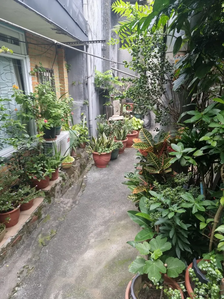 圖4：心情美麗，處處是美景