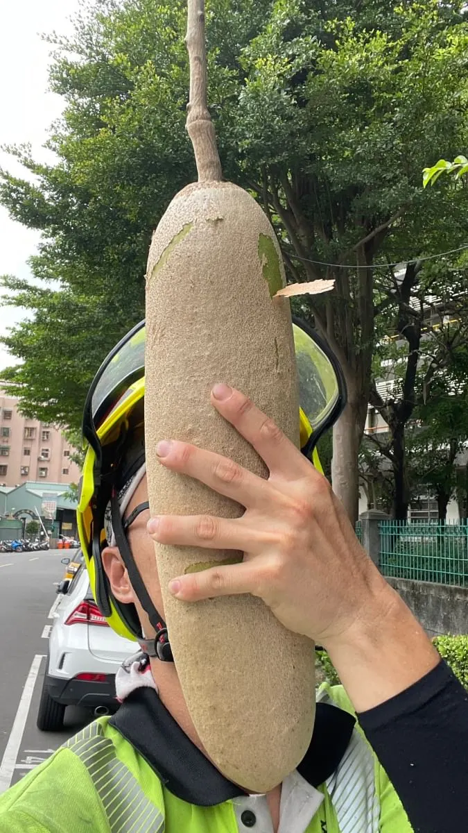 這個大小可能會砸死人了