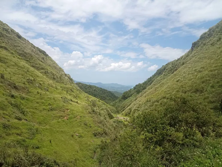 埡口景觀涼亭所拍攝之山景,芒草季到來,就能見到滿山谷芒草