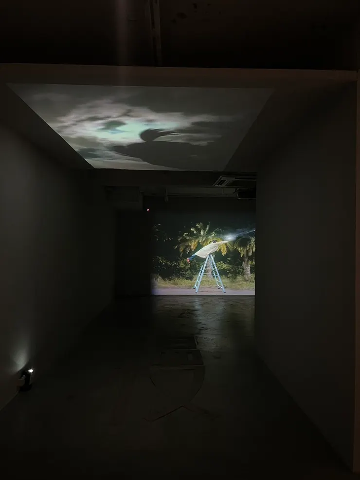 鄭尹真，〈碰不到的星星〉，2024，單頻道錄像，5分鐘，尺寸依場地而定。藝術家提供。