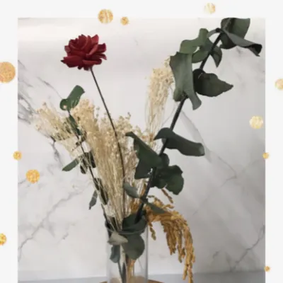 阿浿的心靈臥榻的沙龍