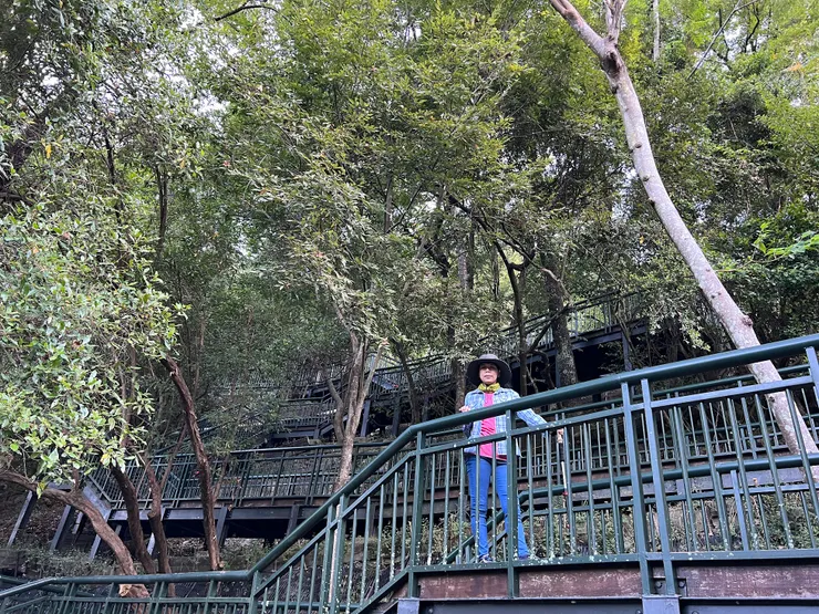 繞啊繞的的木棧道