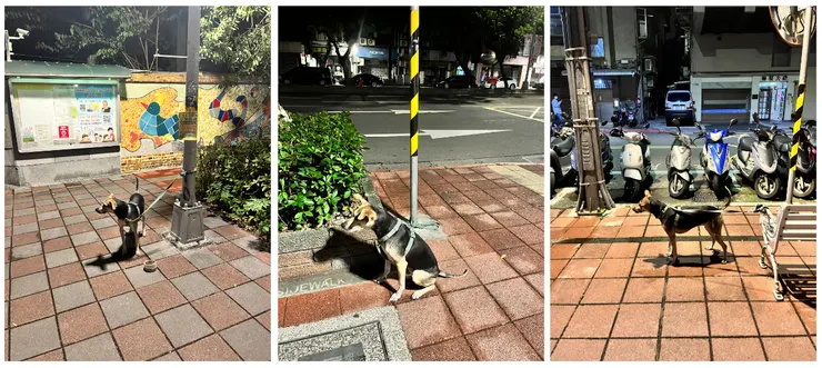 這天綁定的三個點,難度一樣是二三一,都沒有主動休息