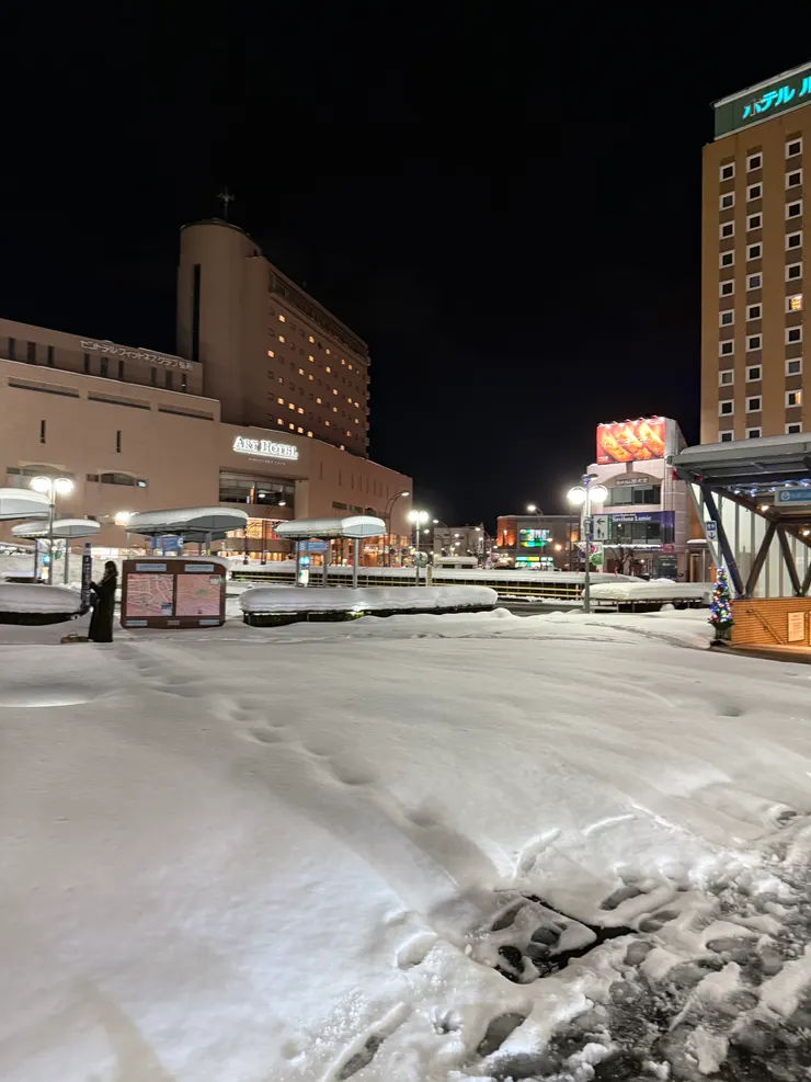 晚上的弘前。積雪導致路況很差，整個青森縣，是全個旅程路況最差的一段，積雪嚴重到在市區都很難走的地步。