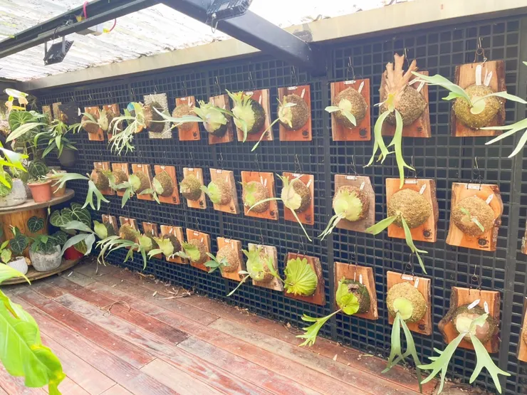 復興食農臉書,作品牆