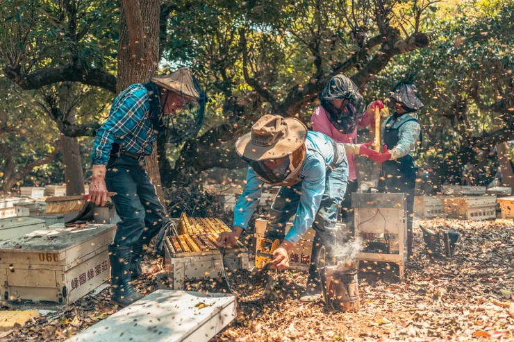 《讓蜜蜂回家》劇照／劇照提供：新北市紀錄片獎