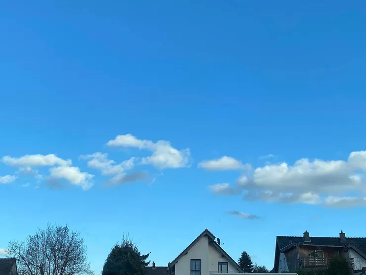 一半一半,雲在風裡面。