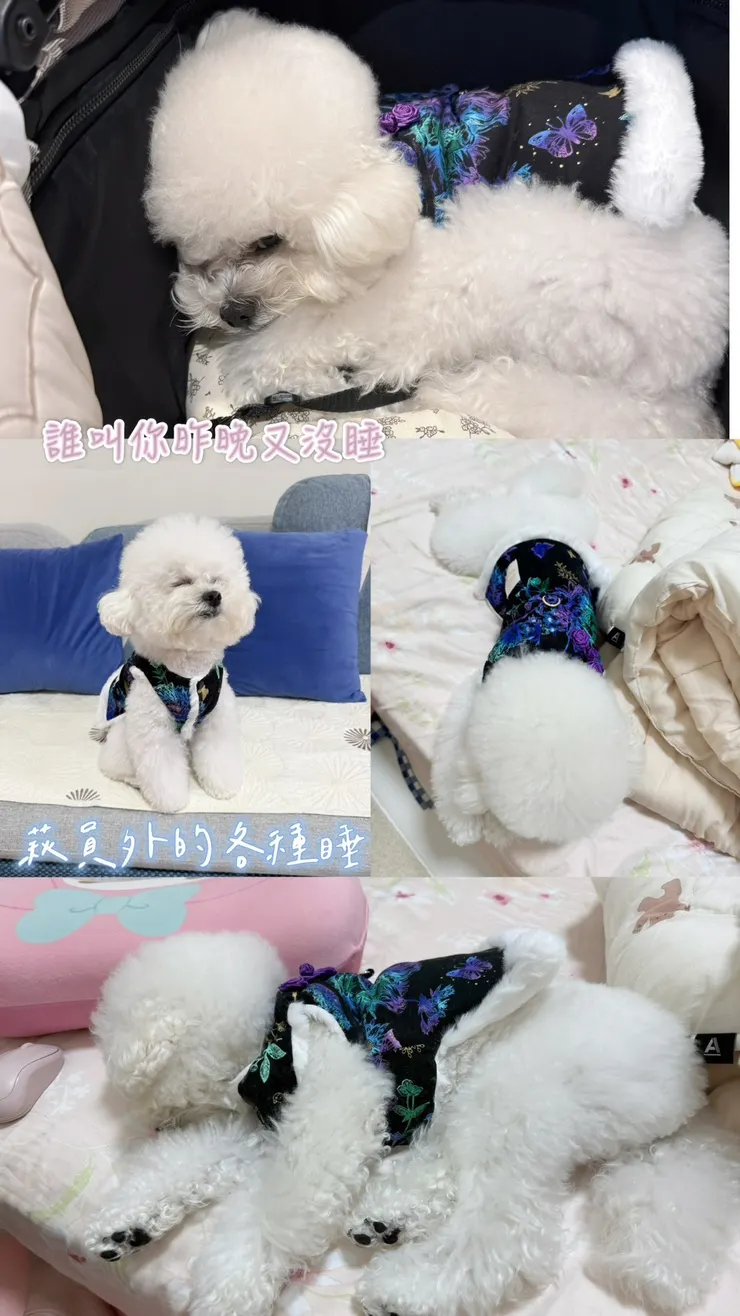 叔叔笑說變身"萩員外"