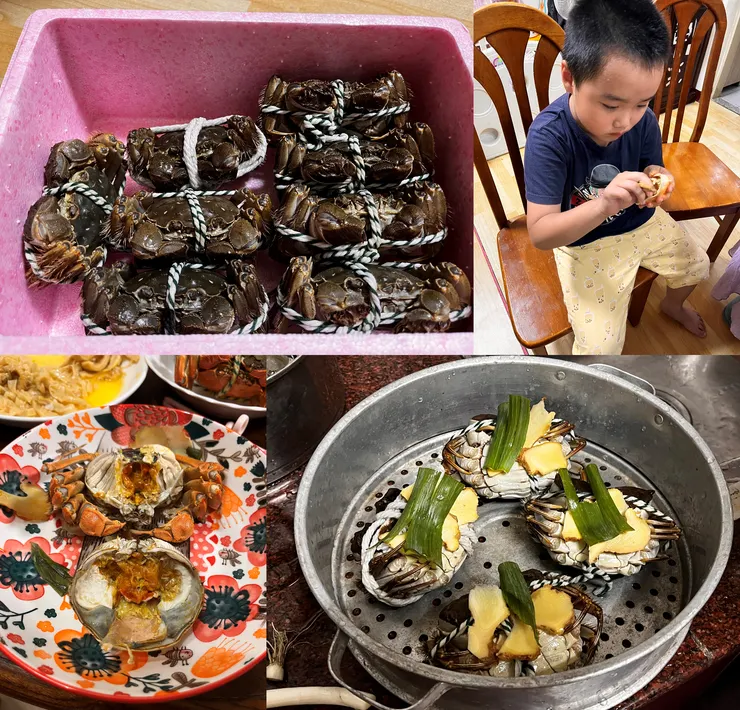 雙寶老爹006208定期定額記錄，2024年11月