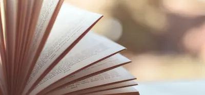 Why Not Reading 的沙龍