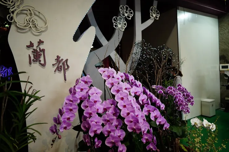 台南六甲區蘭都