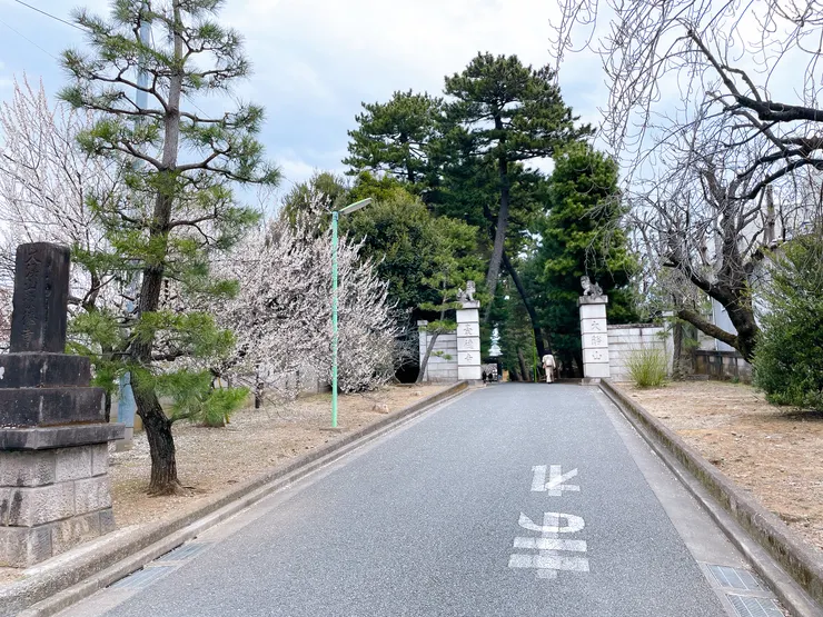 入口處有一些梅花，我們居然也為了這幾棵梅花拍了一陣子，解看不到櫻花之渴