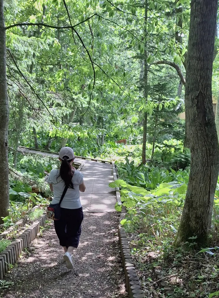 轉角又遇到小鹿班比