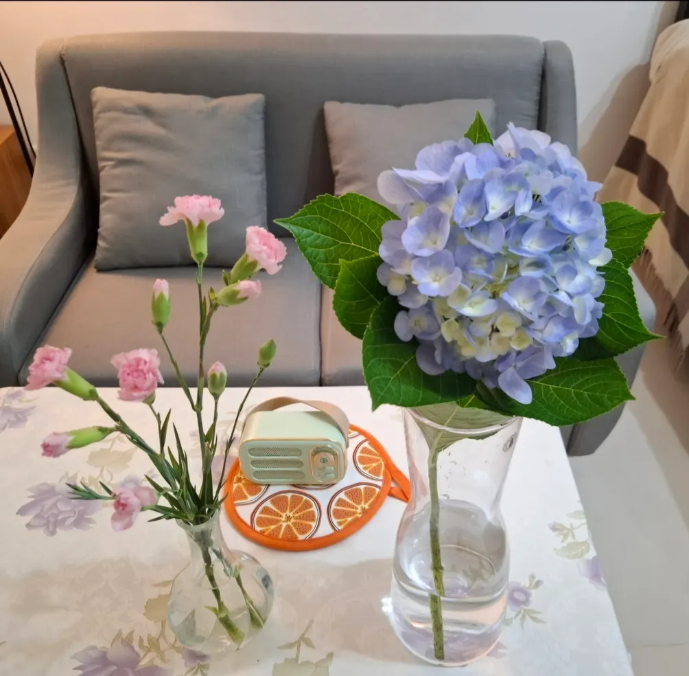 Claire！ 克萊兒心靈四季的沙龍