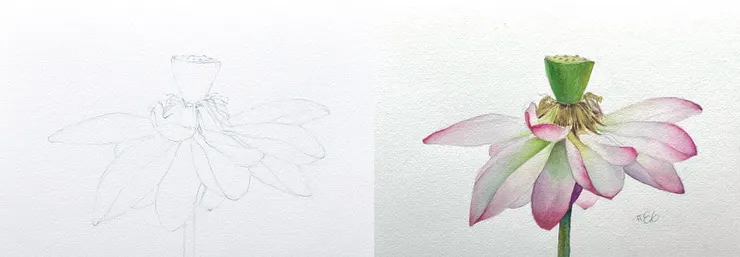 圖YHCC@水彩練習W86, 26x18cm, AUG2025