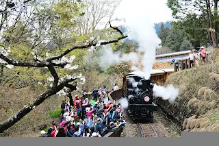 眾人相迎的超級星光大道