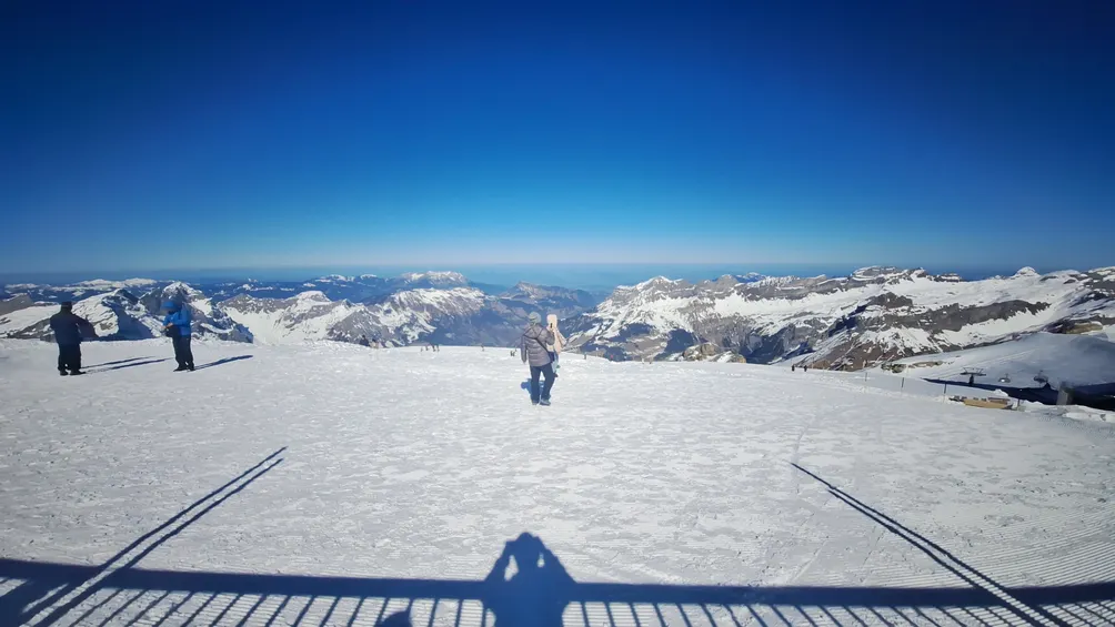 Ren的異想天地的沙龍
