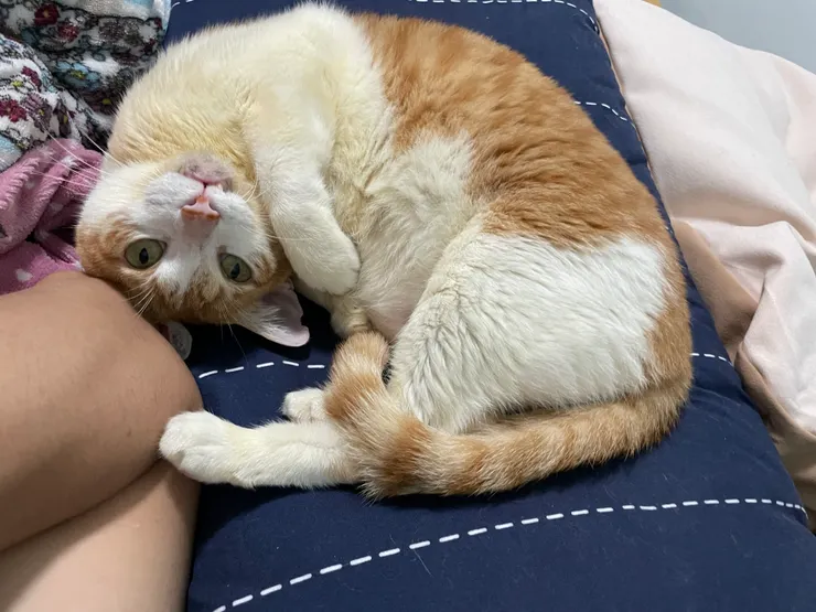 雖然短短一年花了我一堆錢,但是這麼撒嬌還是原諒你啦