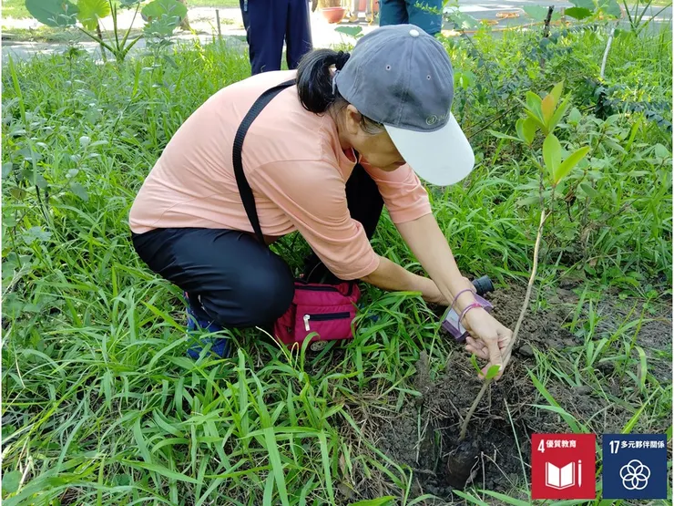 在基地裡實際種下一棵樹