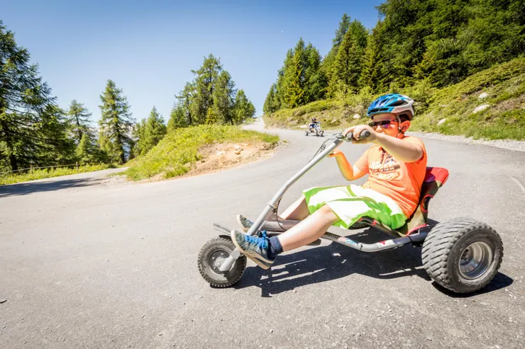 Mountain Cart (圖片來源: https://www.bellwald.ch/en/bellwald-tourismus)