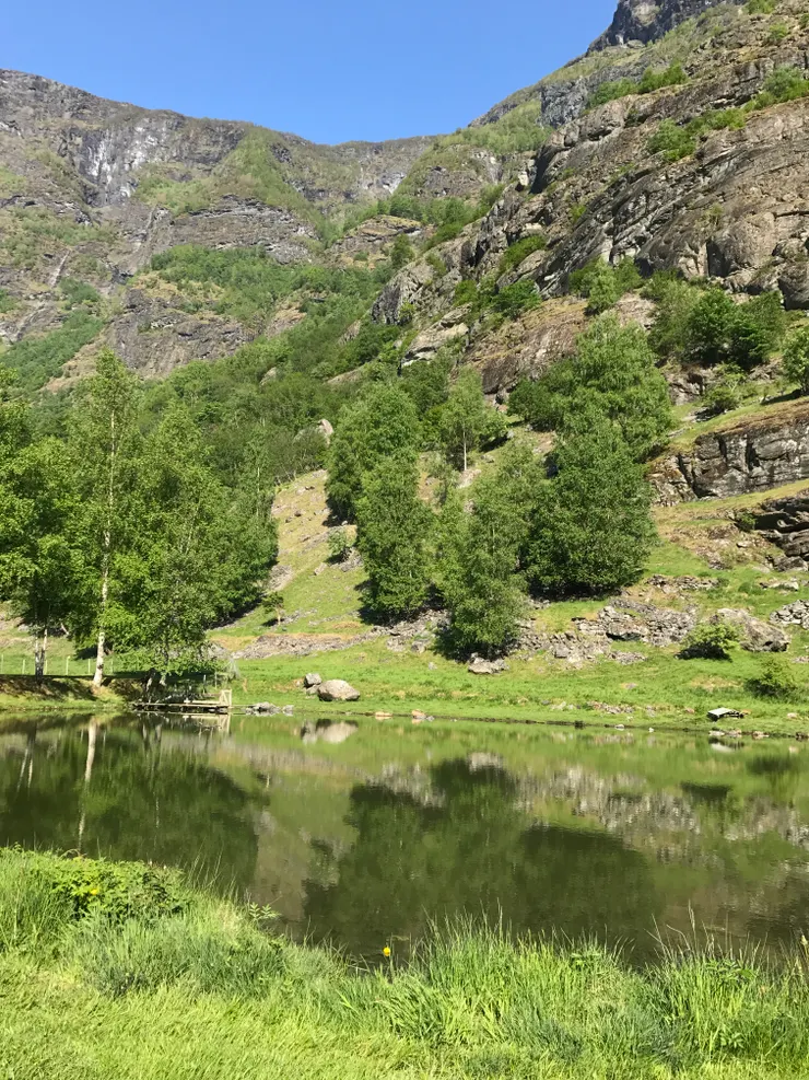 小溪映照著綠意,讓人忍不住徘徊