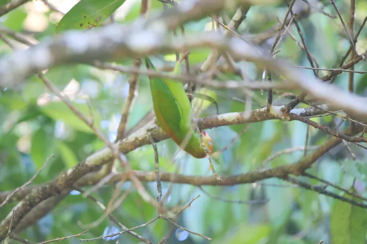 終於有一張拍得比較好
