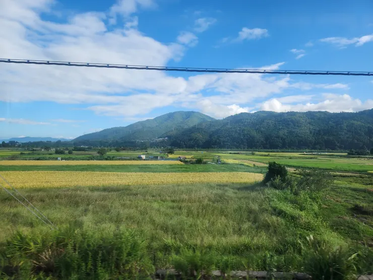 從車上拍的風景