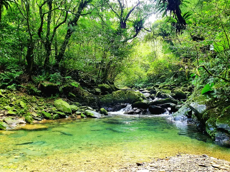 碧綠清澈的桶後溪