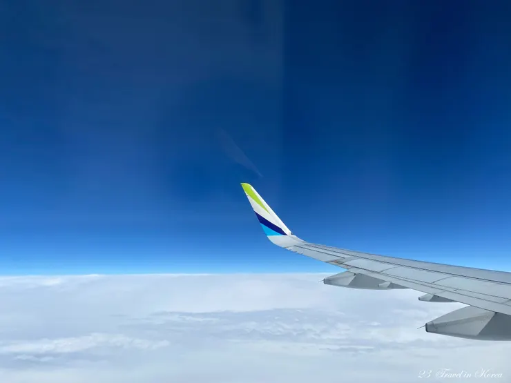 這次來回都搭釜山航空