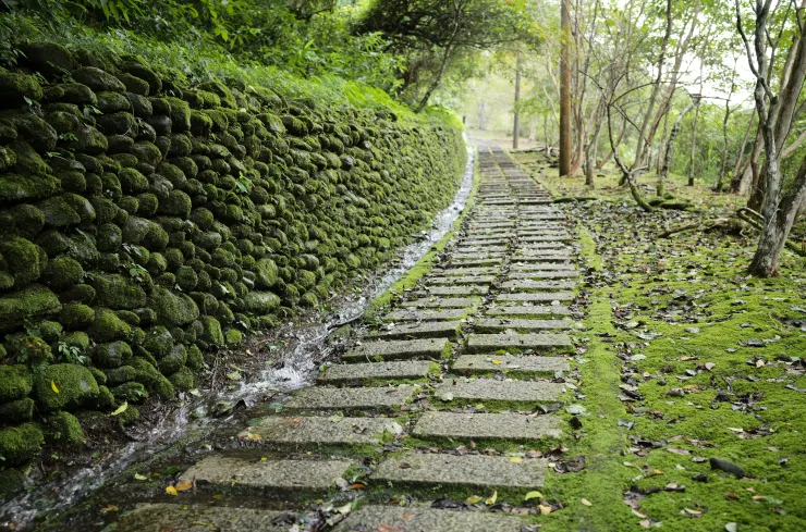 沿溪步道2沿著富源右岸逆流而上,淡粉藍色的溪水十分夢幻,沿途景致與體驗也是我最喜歡的一條步道
