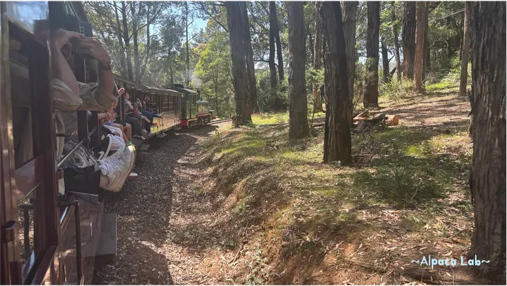 呼吸芬多精！以及一點點煤炭XD