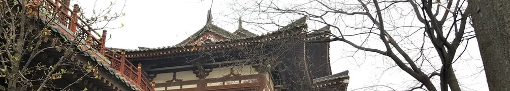 西安一隻貓的沙龍