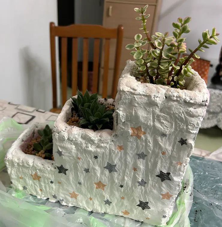 種植多肉植物後(反面)---疊古巴特