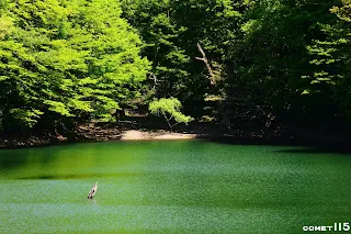 雞頭場之池一景