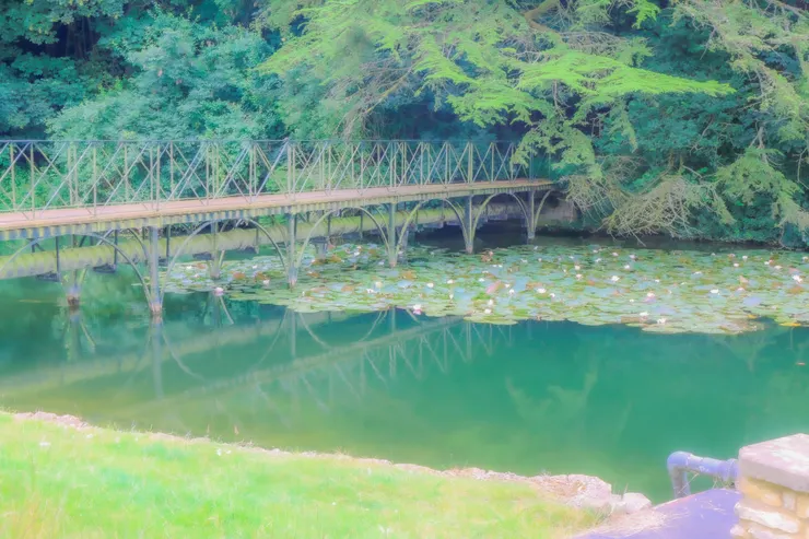 布雷尼宮後花園一景