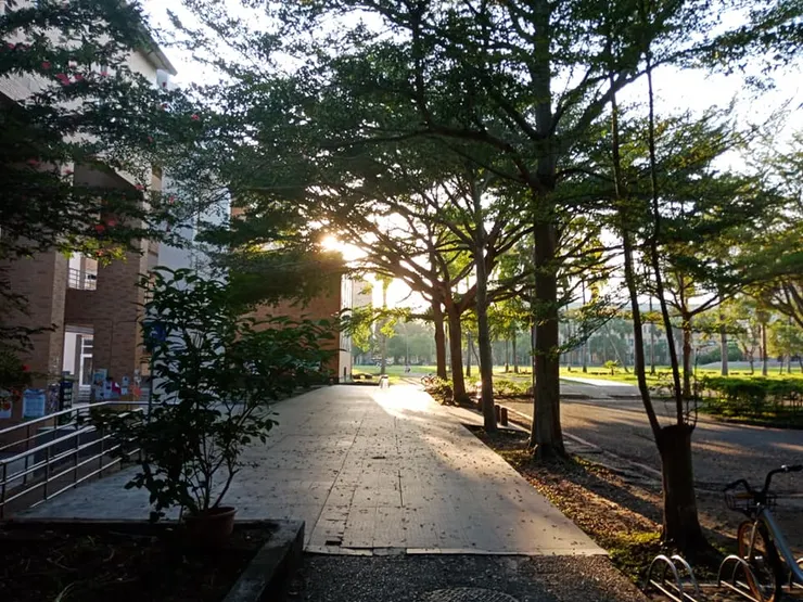 湖畔餐廳外,前方是圖書館大草皮,穿過「飛機跑道」,左前方就是文學院了。