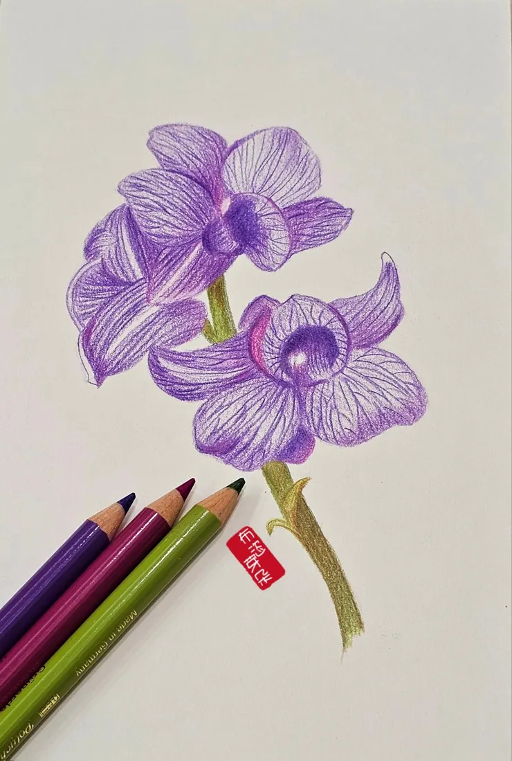 圖。文／布恣芽朵