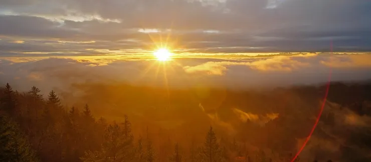 最近的夢想是，在日出時搭配著晨曦寫作，浪漫又踏實的感覺（圖/PIXABAY）