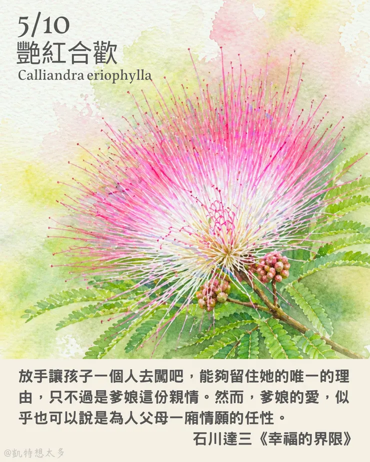 艷紅合歡×石川達三《幸福的界限》