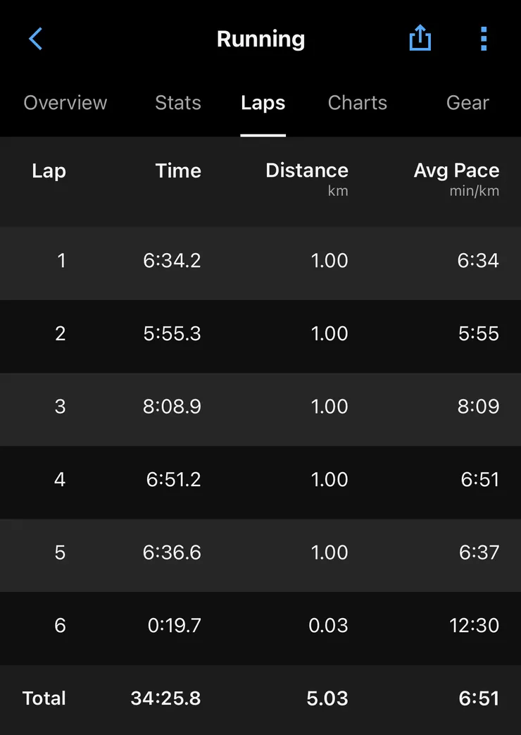 一邊跑步，一邊拍照，還可以跟旅伴炫耀他沒有的照片。