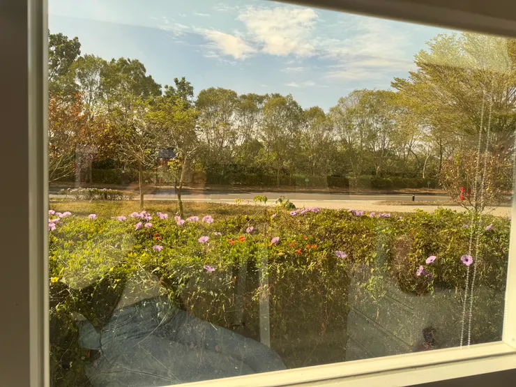 辦公室外「花草樹木靜默，心清、事明。若人人如此，可如草木般滋養身邊一切。」