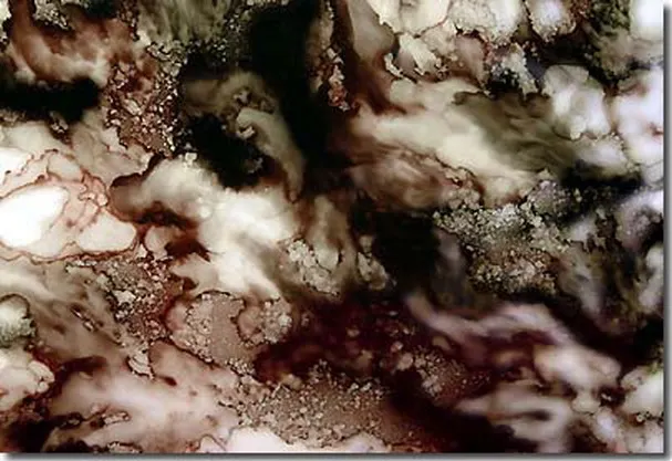 Huo-Se Jade by H.H. Dorje Chang Buddha III