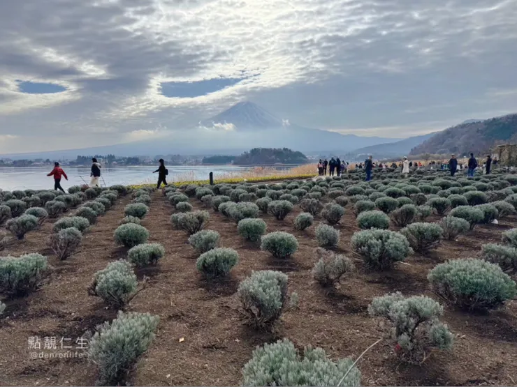 日本東京｜富士山河口湖